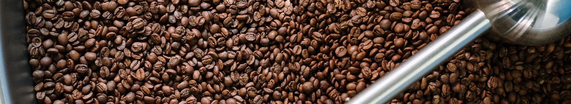 Sapp coffee gold