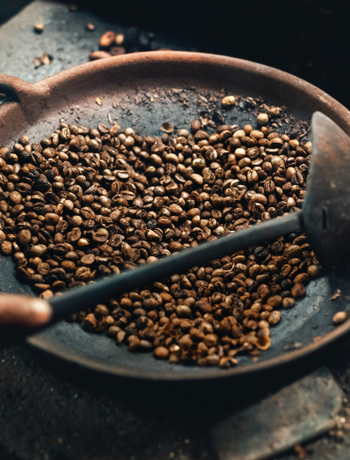 Sapp coffee gold