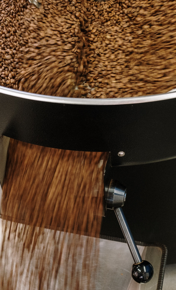 Sapp coffee gold