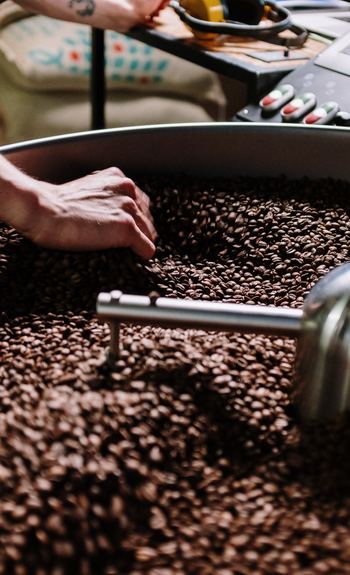 Sapp coffee gold